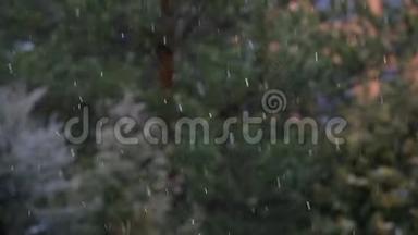 <strong>城市公园</strong>雨雪高清镜头